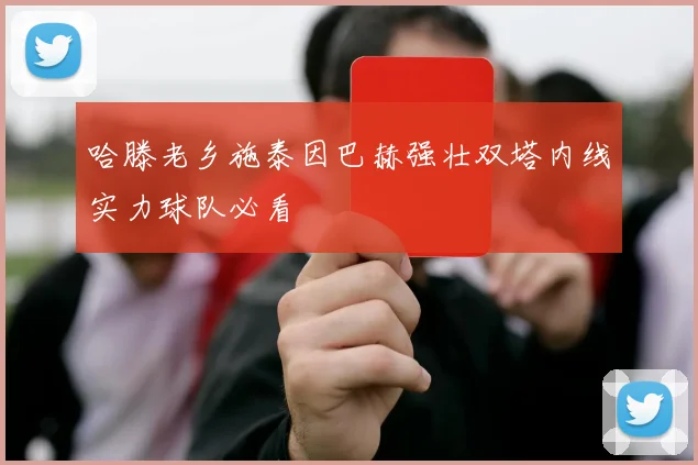 哈滕老乡施泰因巴赫强壮双塔内线实力球队必看